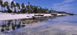 paysages d’Unguja et ses îlots